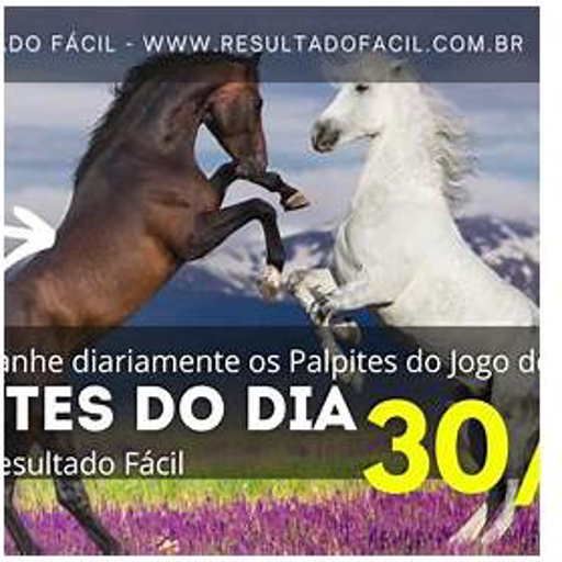 palpite do dia 30